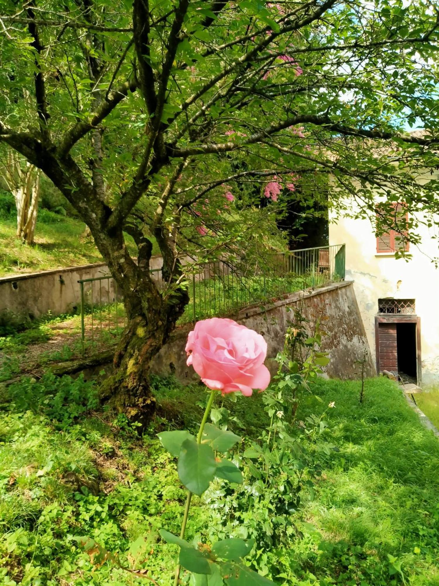 Bed and Breakfast Casa Valduggia Екстер'єр фото